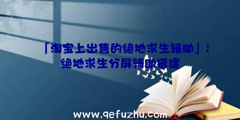 「淘宝上出售的绝地求生辅助」|绝地求生分屏辅助搭建